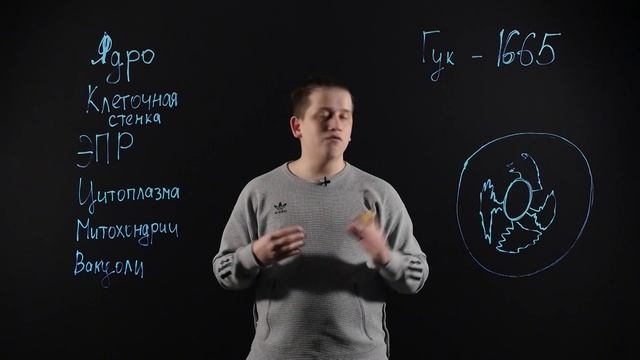 БИОЛОГИЯ 8 класс: Клетка: строение, химический состав и жизнедеятельность смотреть онлайн