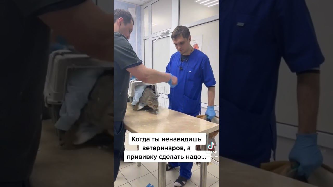 8 октября 2022 г. смотреть онлайн