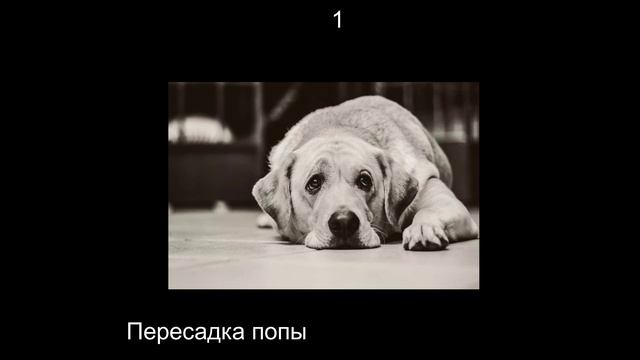 КАКУЮ ТЫ ПОЛУЧИЛ ОЦЕНКУ смотреть онлайн