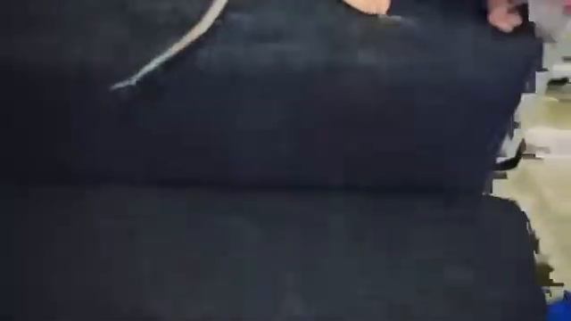 Чика сфинкс и друзья смотреть онлайн