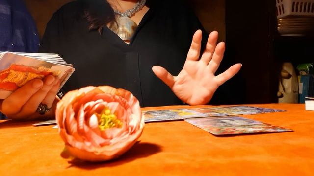 ?Кот потерялся?Найдётся ли кот?? смотреть онлайн