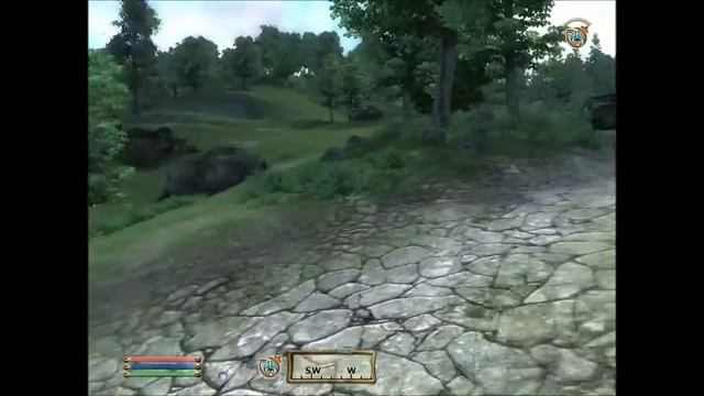 Oblivion Mod Playthrough: Knights of the Nine Revelation [Part 15] Treasure Hunt смотреть онлайн