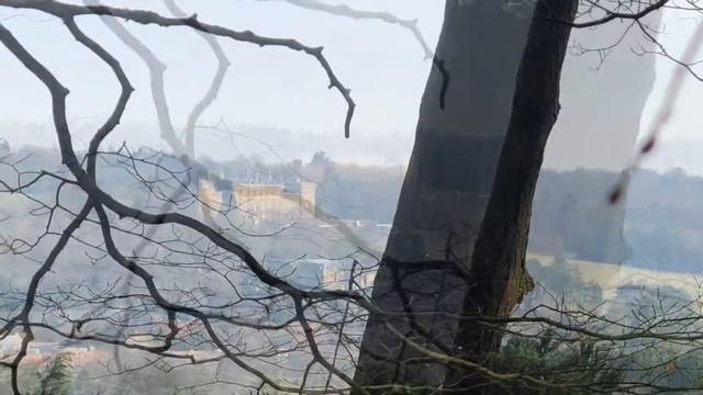 Harewood House with hairy Harry смотреть онлайн