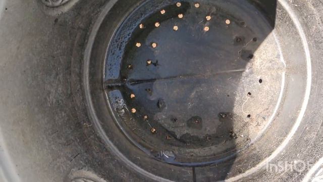 Как ухаживать за петуниями