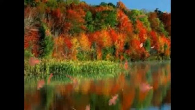 Сказка о веснушках смотреть онлайн