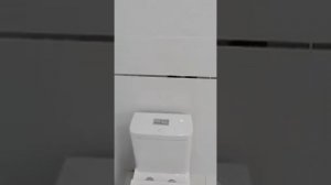 как выбрать унитаз,на что обратить внимание, моноблок как вариант..