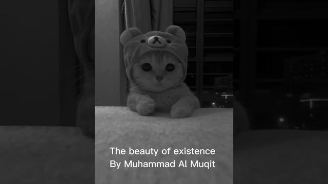 The Beauty Of Existence | By Muhammad Al Muqit | Sped Up