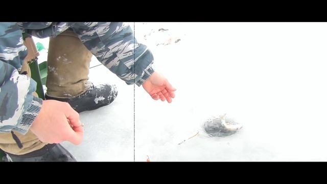 Ловля окуня зимой на Ангаре. Наши диалоги о рыбалке. Хороший улов.Иркутск смотреть онлайн
