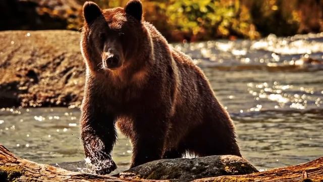 Кто сильнее смотреть онлайн