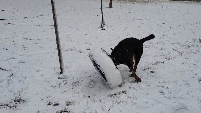 Колесо и снег смотреть онлайн