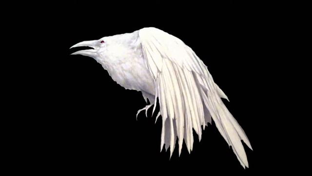 Илья EY Стрижич - Белый ворон 2017 (Dee-MAC Prod.) смотреть онлайн