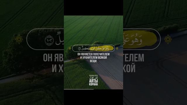 Сура 6 Аль-Ан’ам(Скот) Аяты 102-103, чтец Ибрахи Аль Исири смотреть онлайн