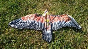 Воздушный змей "Орел": обзор, сборка и запуск