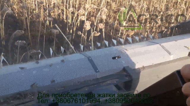 Уборка жаткой для подсолнечника от Агрикомаш смотреть онлайн