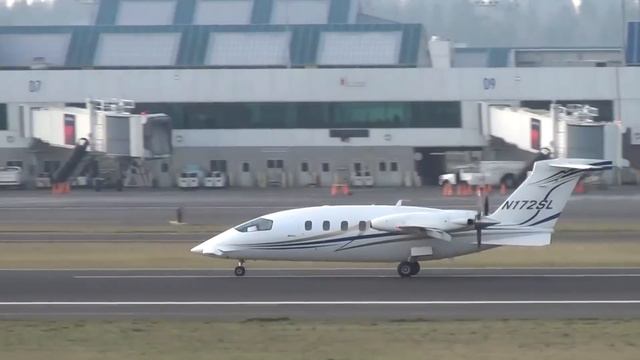 Celera 500L | Egg With Wings Or A Revolution In Aviation