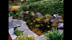 Дачный  ландшафт: замечательные идеи дизайна