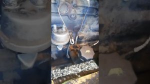 Как выставить вмт на New Holland с двигателем ивеко F4GE0484G*D