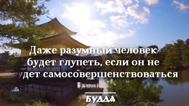 Цитаты Будды, которые приведут вас к спокойствию и осознанности! Будда Шакьямуни! смотреть онлайн