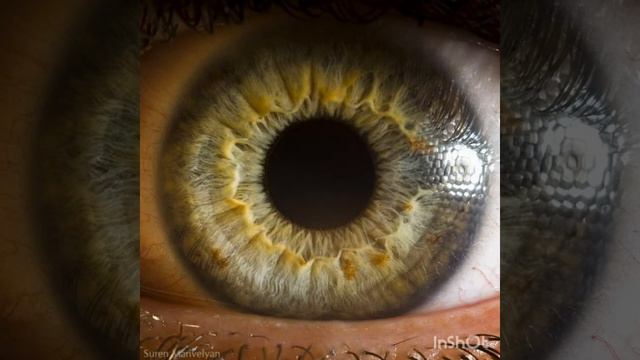 Зелёные глаза - A.Z.A Премьера песни смотреть онлайн