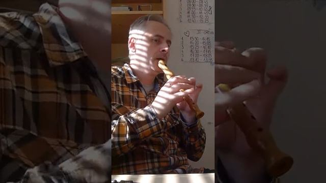 "Nothing's gonna change my loves" on Mollenhauer soprano recorder смотреть онлайн