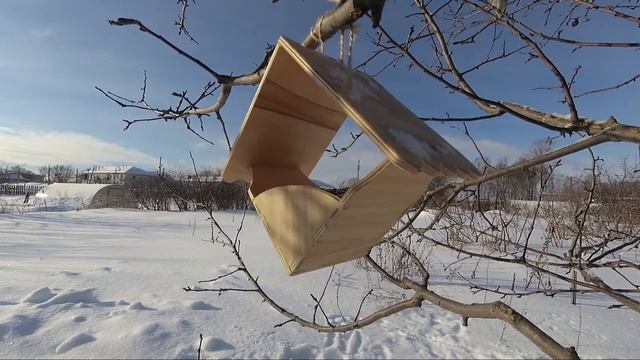Птицы в кормушке зимой смотреть онлайн
