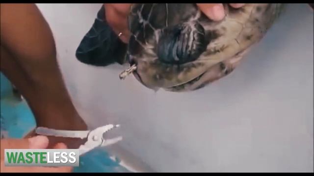 Одноразовые vs. многоразовые трубочки смотреть онлайн