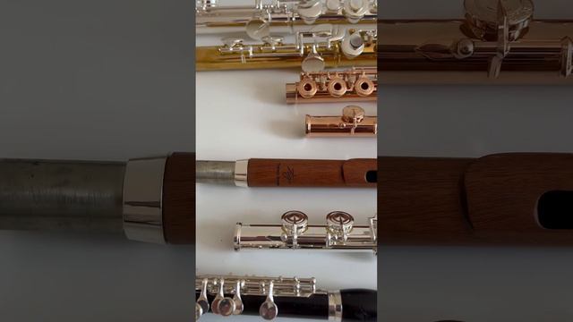 A flute players’ candy store! #flute #flutes #flutist #musician #gold #silver #piccolo #love смотреть онлайн