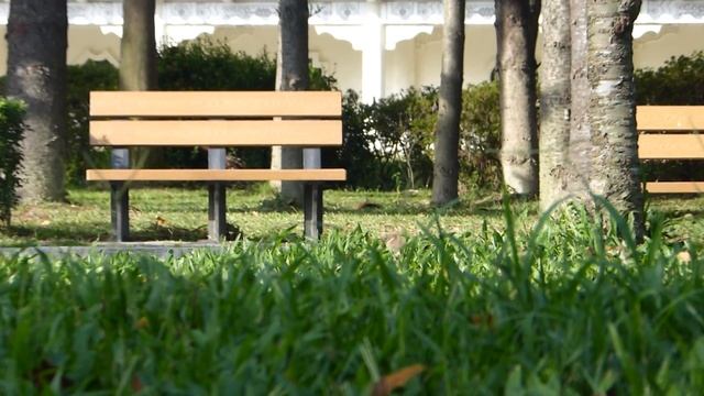 Panasonic Lumix FZ-150 #4 смотреть онлайн