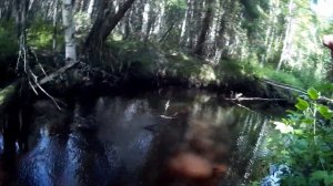 Мормышинг на микроречке. Хариус активизируется.