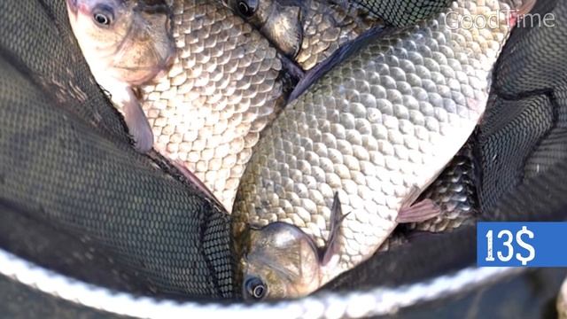 80 Чумовых вещей для рыбалки с Aliexpress, Полезные рыболовные товары на Алиэкспресс + Конкурс смотреть онлайн