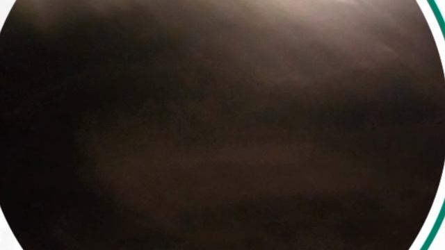 Забрал брата с английского