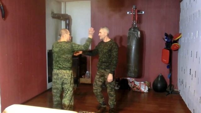 Universal combat system на базе стиля орла и змеи 9 смотреть онлайн