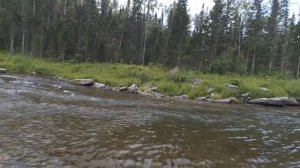 Рыбалка на реке Амыл август 2018