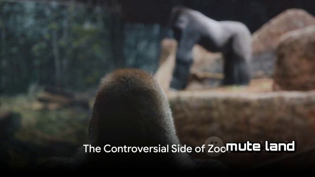 Zoo Wonders: Unleashing Nature's Secrets смотреть онлайн