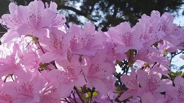 Лишилась друзей, сдав свою квартиру их родственникам смотреть онлайн