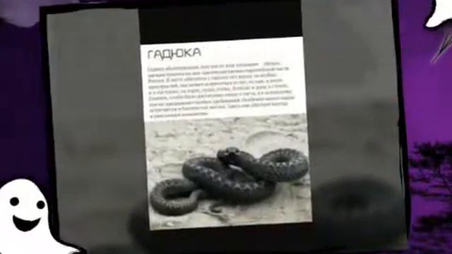 Топ 5 самых опасных животных из России. смотреть онлайн