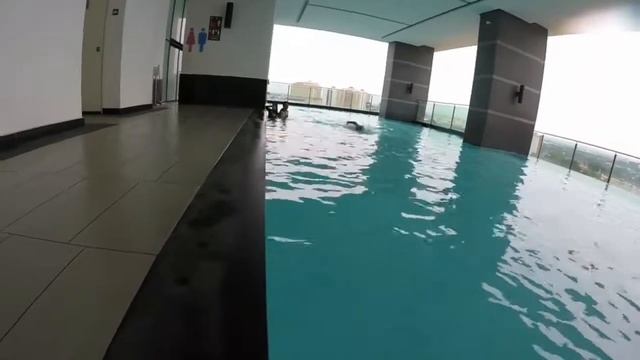 Beginners Swim- Drag Analysis @swissgarden смотреть онлайн
