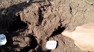 Металлоискатель AR 944M / AR944 m metal detector