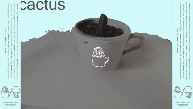Nect - Cactus