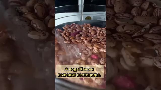 «Почему бесполезно замачивать фасоль в воде из-под крана» смотреть онлайн