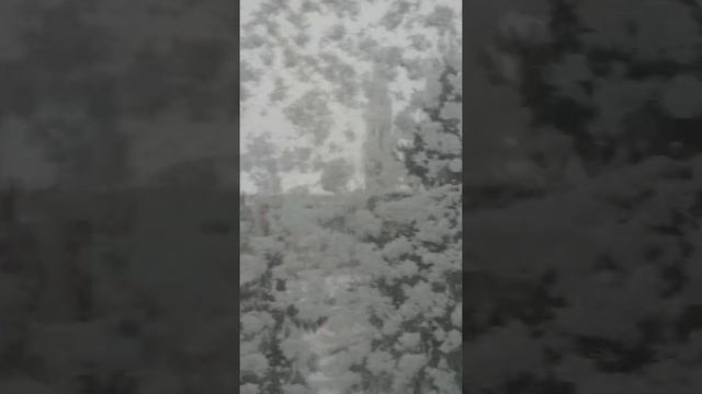 Узоры на окнах зимой.Зимние узоры.Мороз и солнце. День чудесный.Узоры. смотреть онлайн