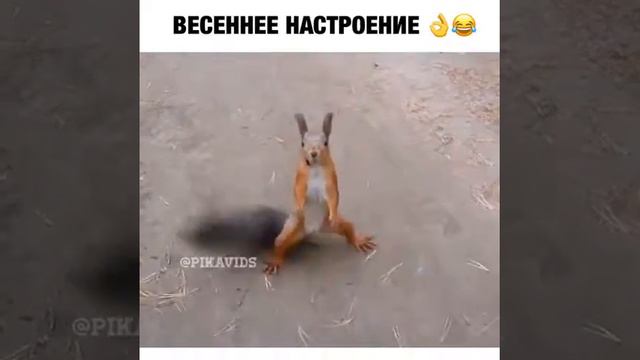 Укольчик в жопу смотреть онлайн