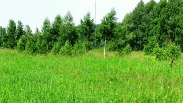 Ф.И. Тютчев "Снежные горы" смотреть онлайн