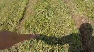 Роторная косилка на минитрактор Wirax 1,25