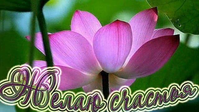 ДЛЯ ЛЮБИМОЙ ПОДРУГИ2.wmv смотреть онлайн