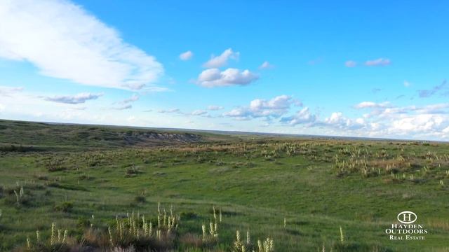 AMAZING GRACE RANCH смотреть онлайн