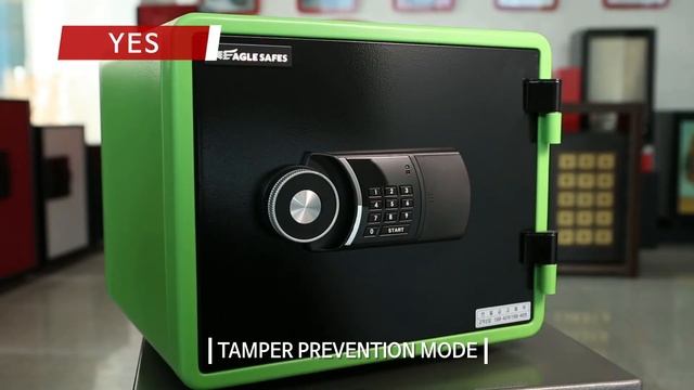 EAGLE SAFES INTRODUCTION