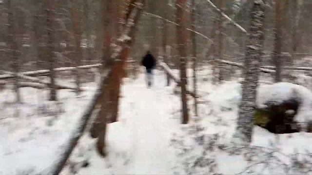 Свиное озеро.село Костино.Дмитровский район. смотреть онлайн