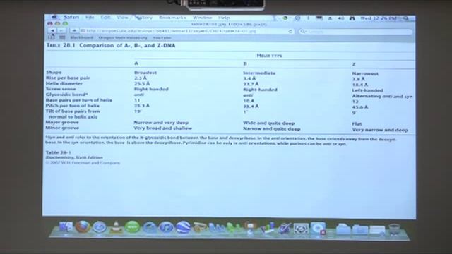 Kevin Ahern's Bite-Sized Biochemistry #41 - DNA Replication, Repair, Recombination I смотреть онлайн