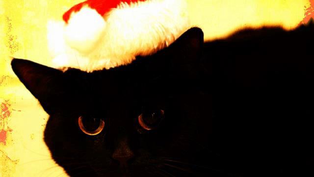 Год Козы. С Наступающим! смотреть онлайн